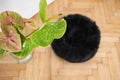 Round Natural Sheepskin Pet Bed - Black