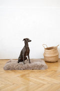 Square or Rectangular Natural Sheepskin Pet Mat - Greige